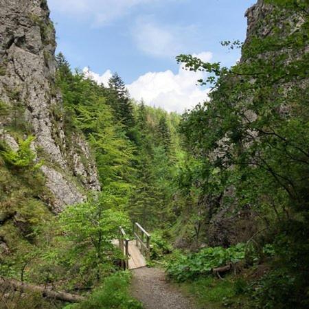 Domek Trzy Doliny Zakopane, Three Valleys Chalet With Jacuzzi Luaran gambar