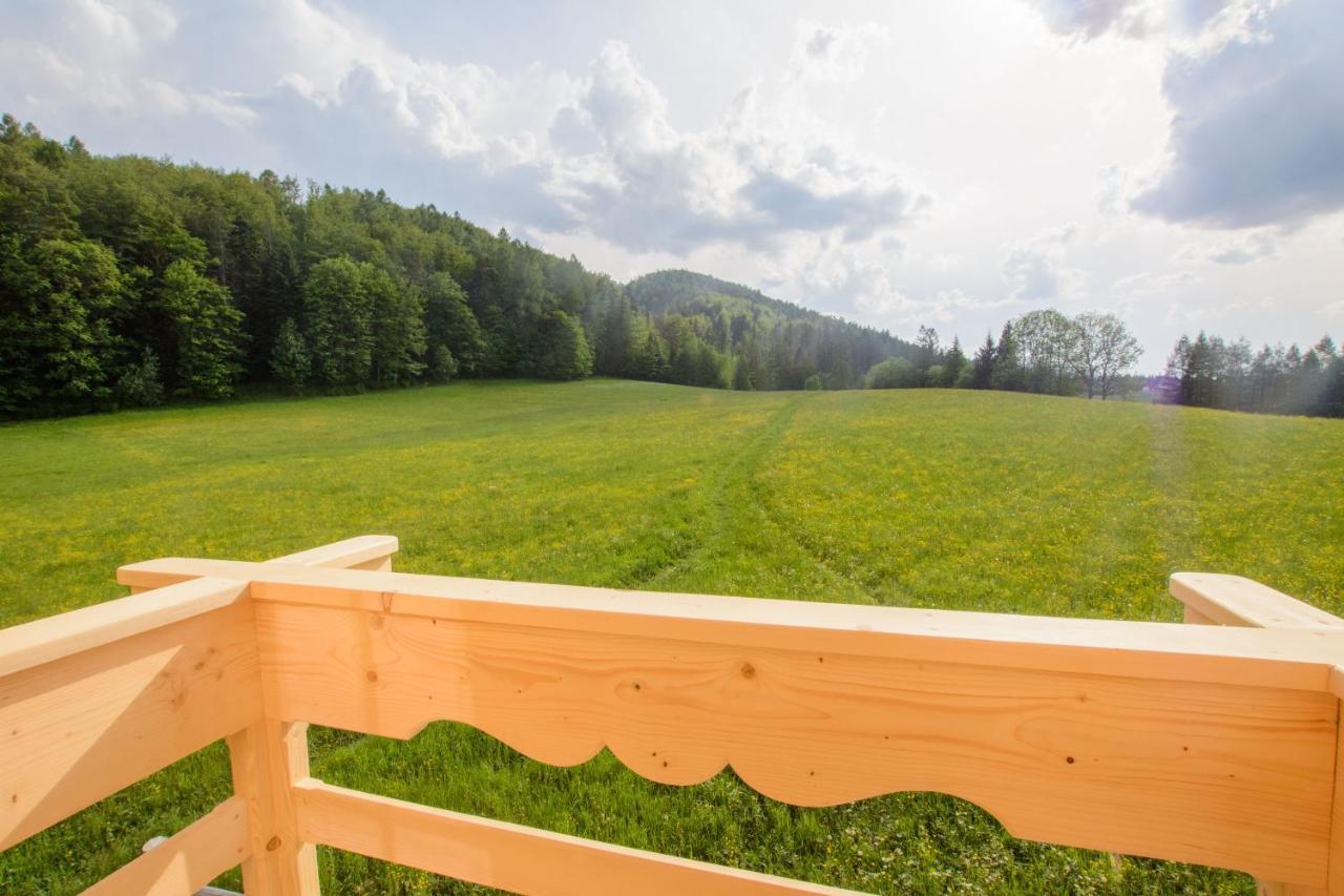 Domek Trzy Doliny Zakopane, Three Valleys Chalet With Jacuzzi Luaran gambar